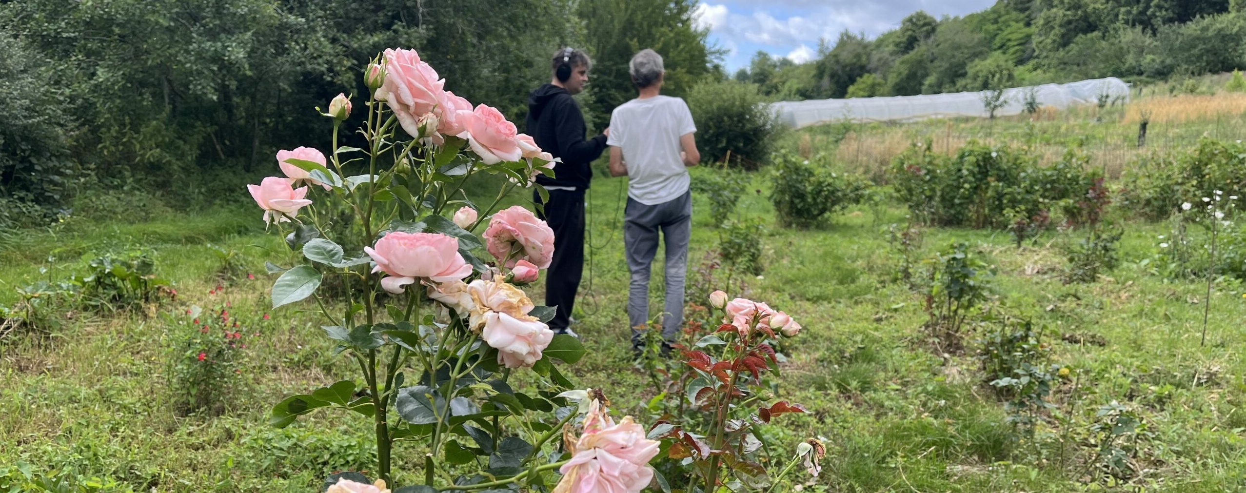 Au jardin des dryades