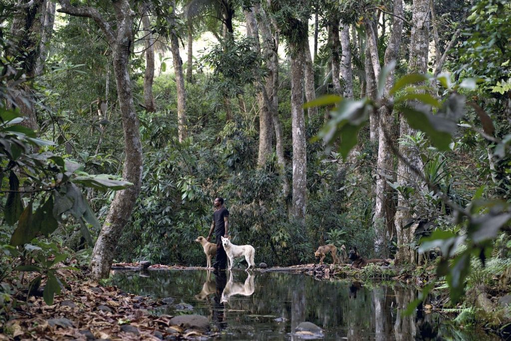 La meute photographie de @Laura Henno, dans les Comores